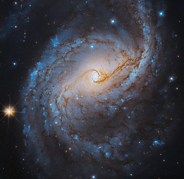 A supermassive black hole dwells at the center of this galaxy