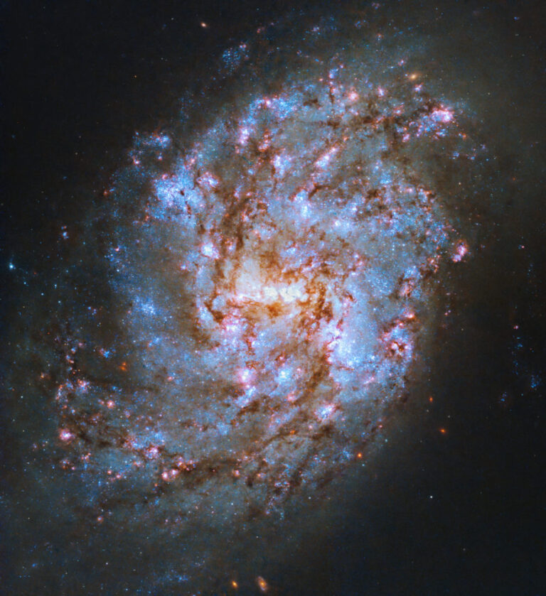 In this galaxy, colours tell a story