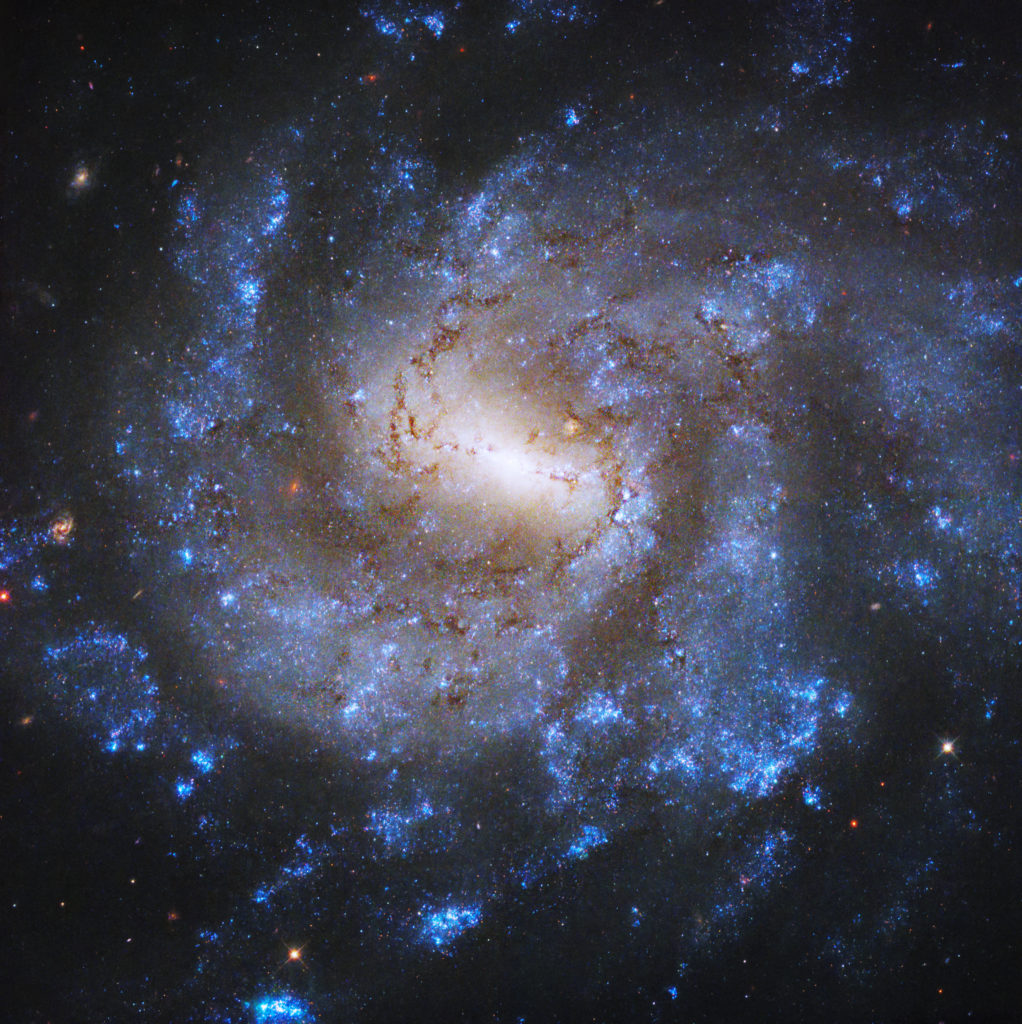 Swirling blue arms shimmer in this galaxy image