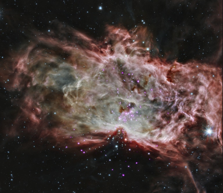 Chandra telescope star cluster insight