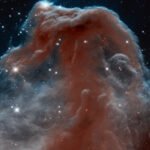 Horsehead Nebula image