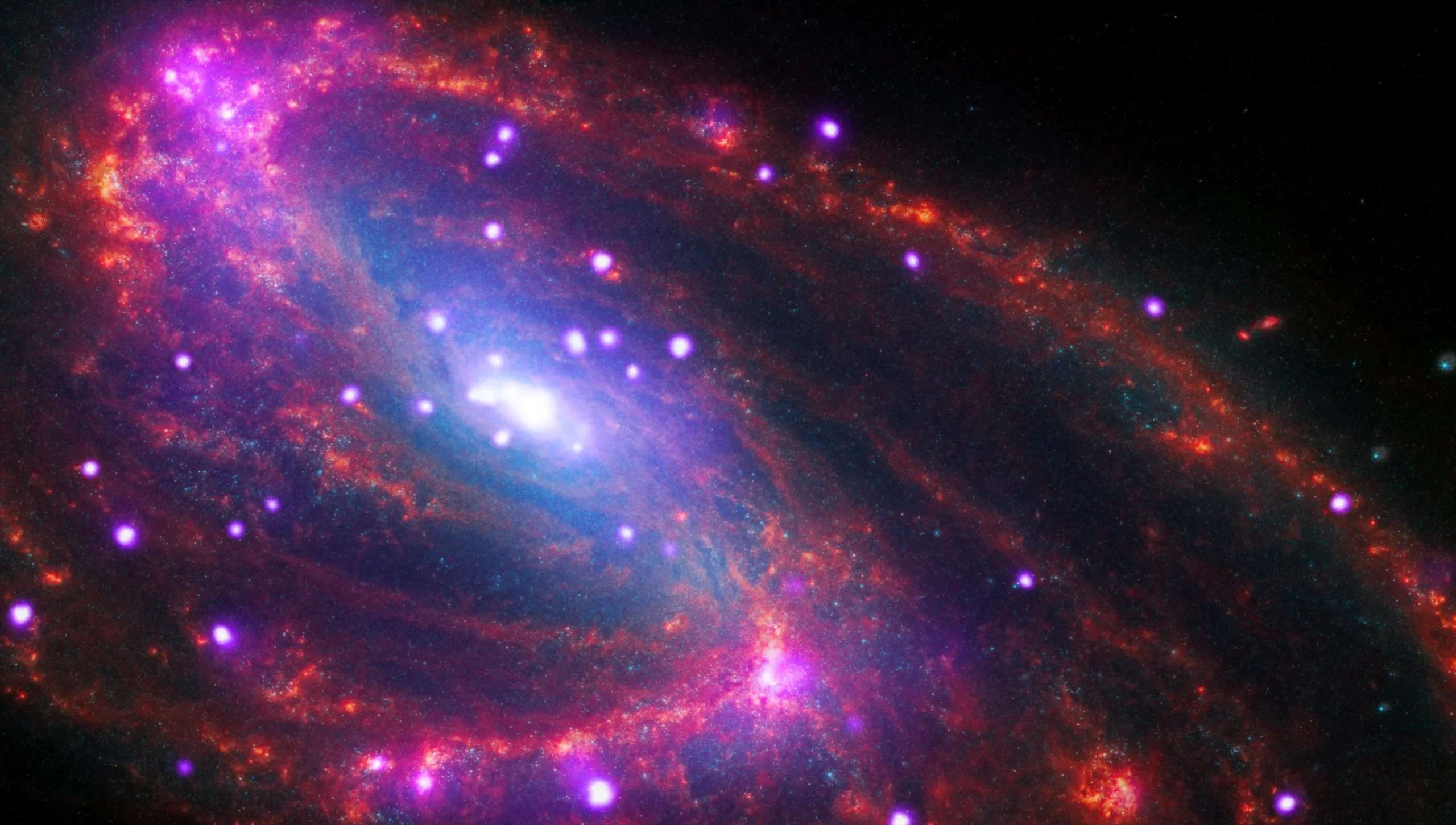 NGC 3627 image